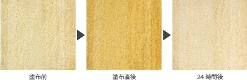 ILKA塗布後の時間経過観察（バネットの場合）