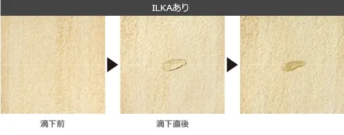 ILKA塗布後の時間経過観察（バネットの場合）