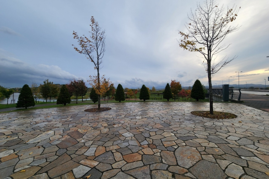 北海道 北彩都あさひかわ緑地（湿潤時）Ｄ＋Ｍ＋緑建産業【アンバー】